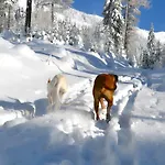 Panorama Готель 2*