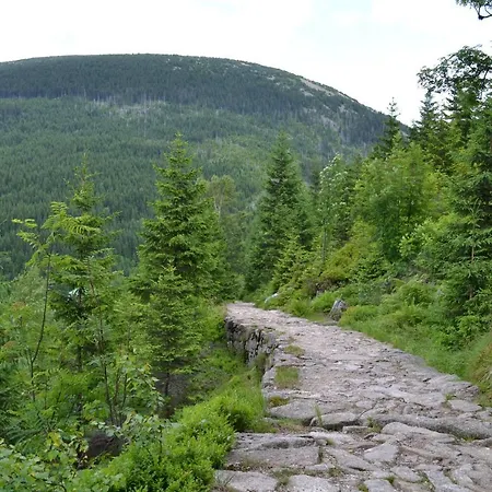 Panorama מלון 2*